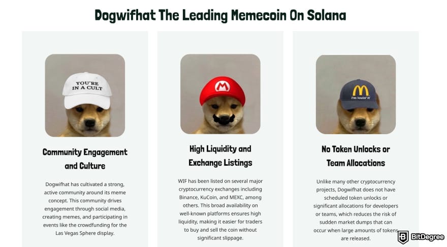 Meme Coins to Buy in