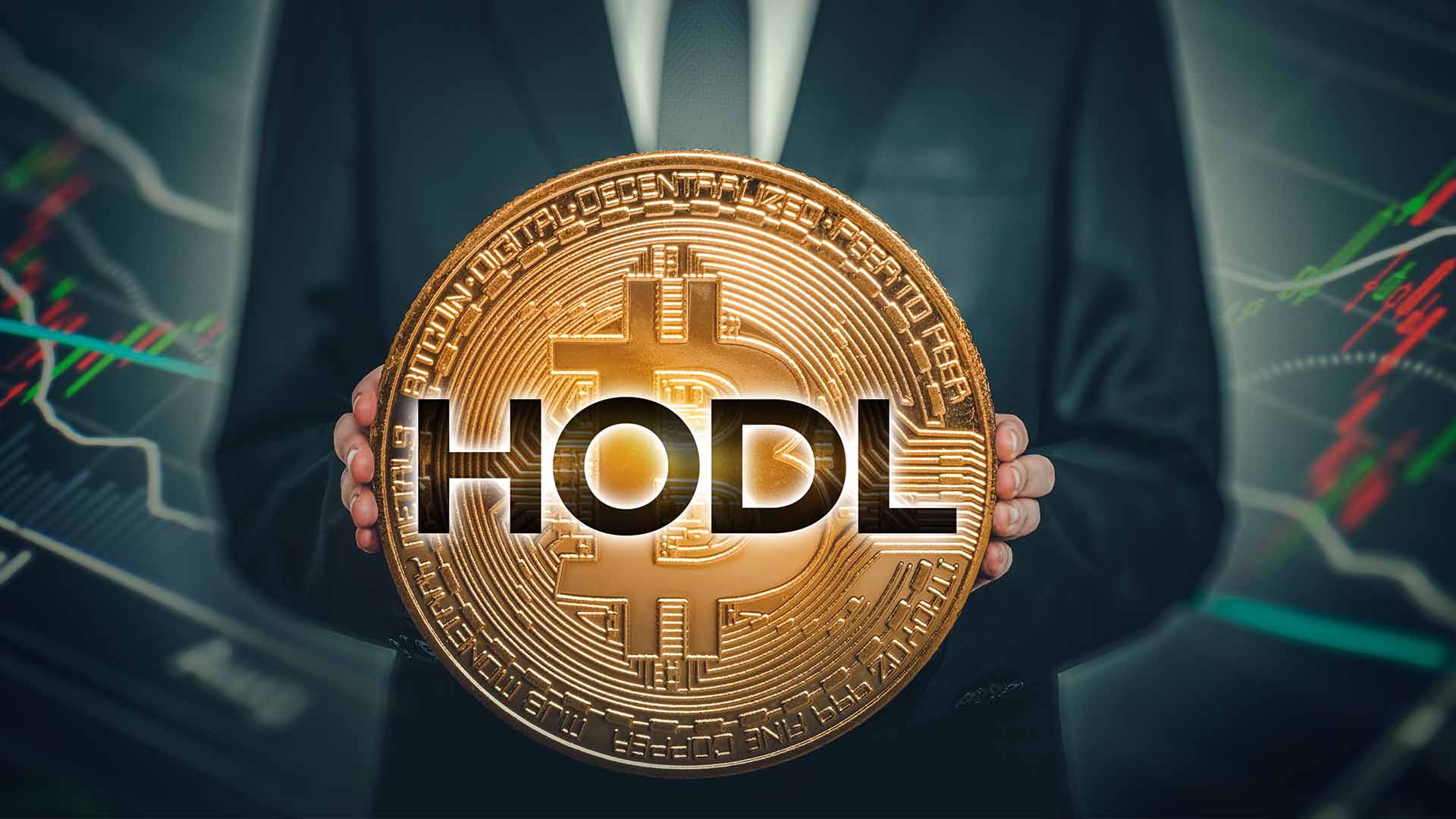 Best Crypto for Long-Term Hold in 2026: Top 5 Coins with Strong Fundamentals